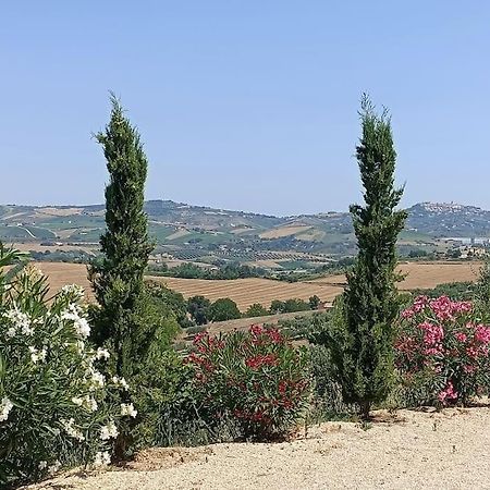 Appartamento Olivo Collecorvino Exterior foto