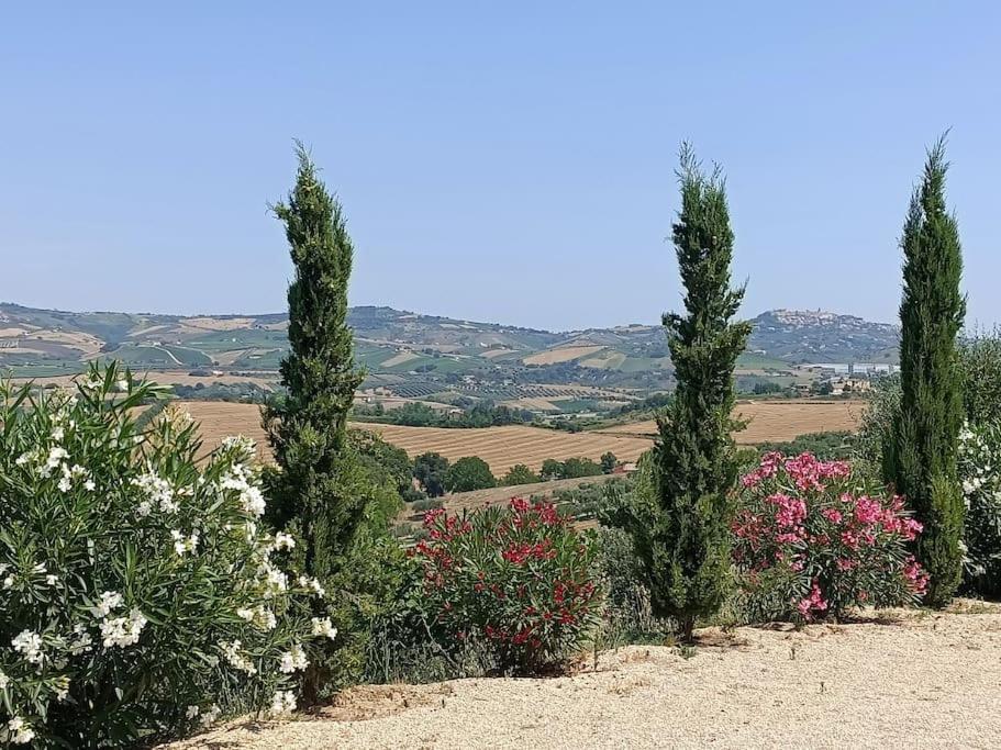 Appartamento Olivo Collecorvino Exterior foto